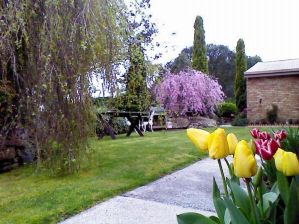 Sherwood View Accommodation image 13