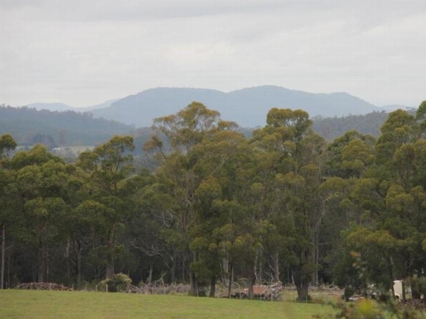 Sherwood View Accommodation image 8